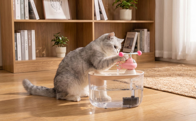 Pet Water Fountains Reimagined — Multi-Tier Hydration Strategy