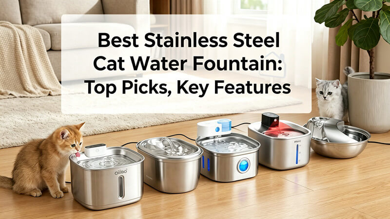 Best Stainless Steel Cat Water Fountain 2026: Top Picks, Key Features