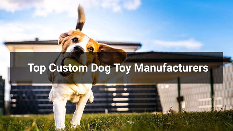 Top 10 Custom Dog Toy Manufacturers in 2026