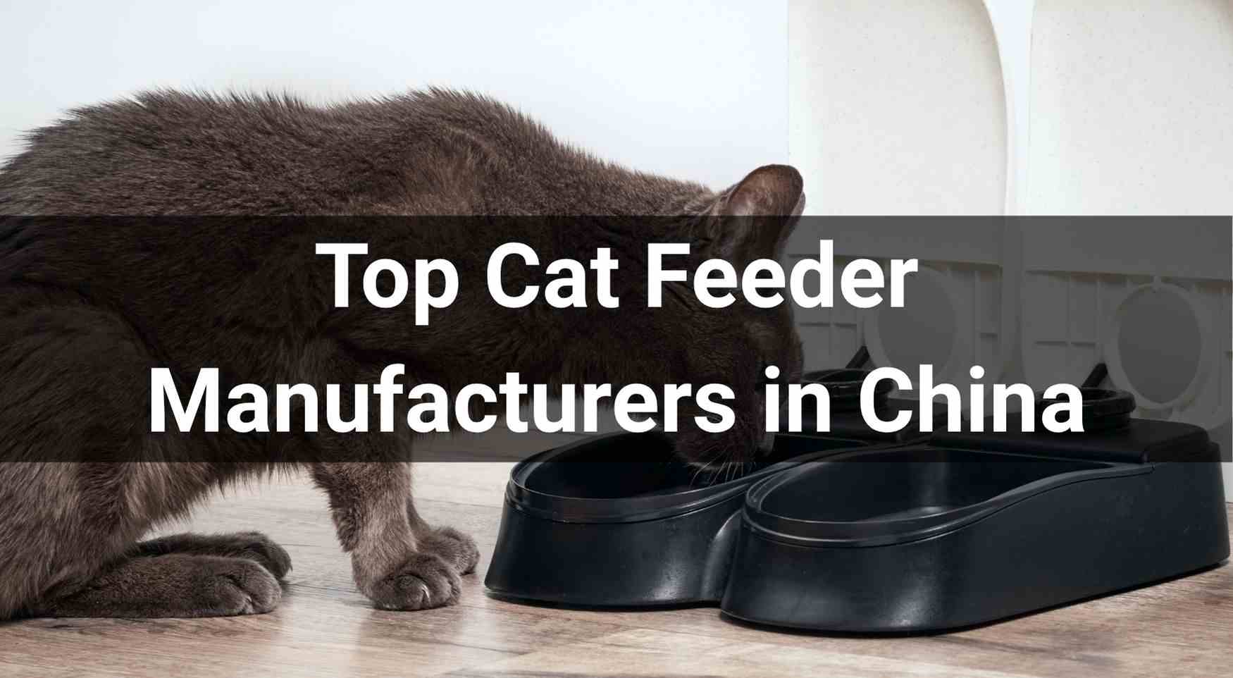 Top 10 Cat Feeder Manufacturers in China 2026