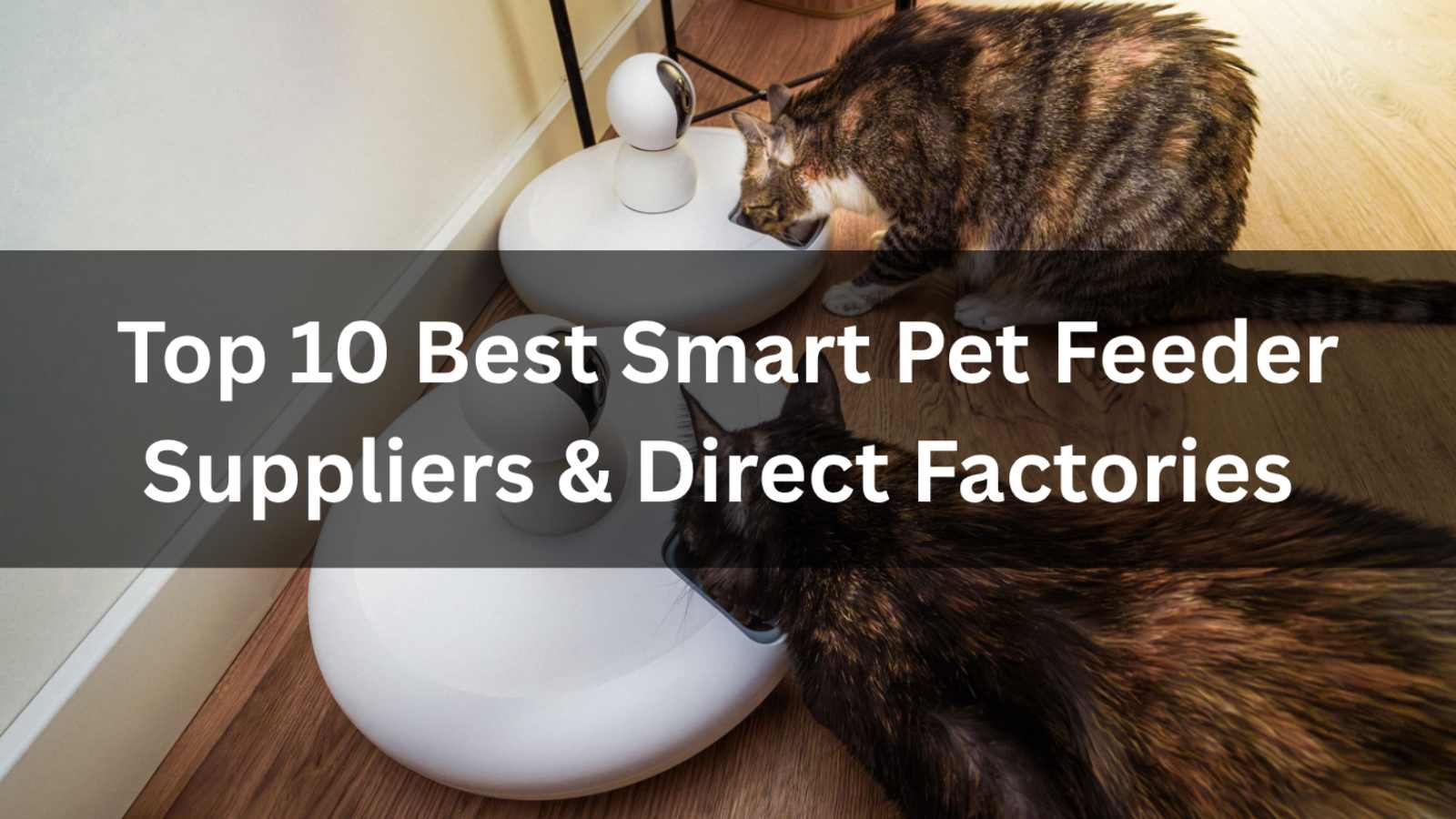 Top 10 Best Smart Pet Feeder Suppliers & Direct Factories (2026 Guide)