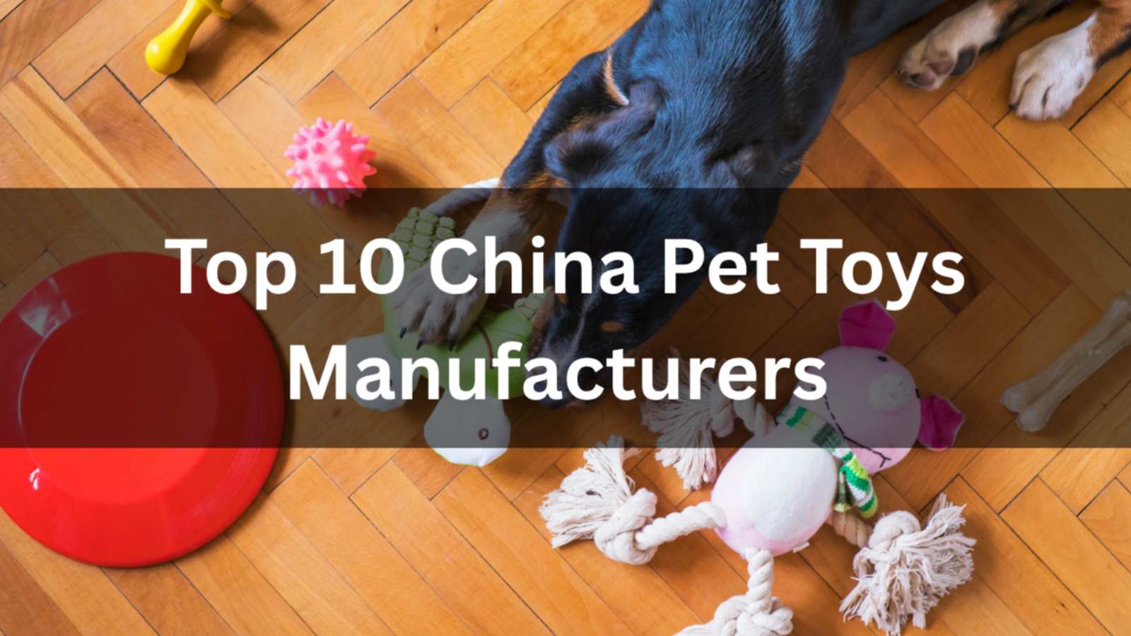 Top 10 China Pet Toys Manufacturers in 2026