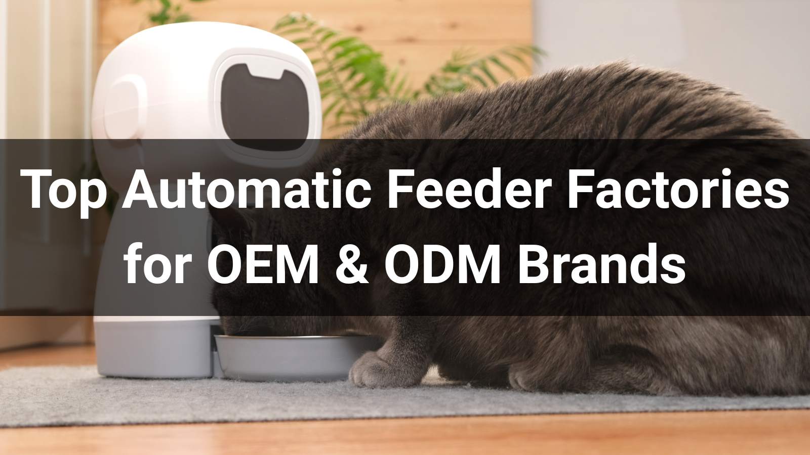 Top 10 Automatic Feeder Factories for OEM & ODM Brands in 2026