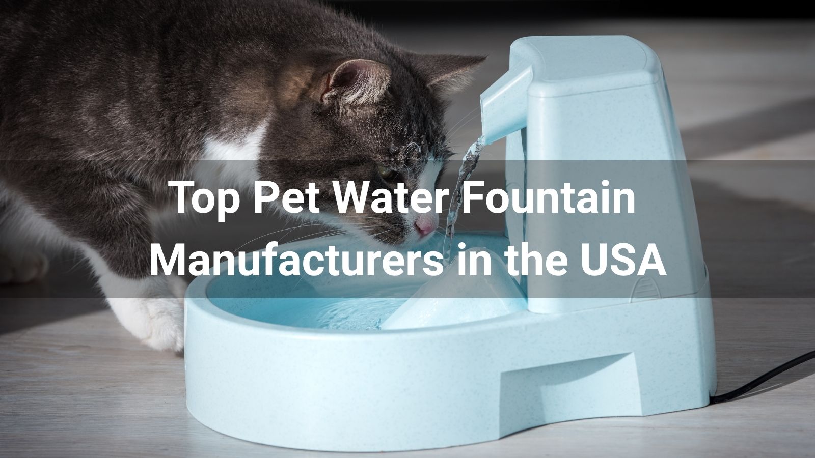 Top 10 Pet Water Fountain Manufacturers in the USA (2026 Guide)