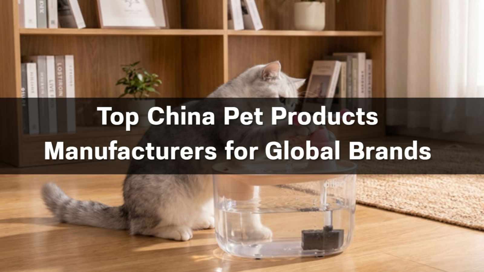  Top 10 China Pet Products Manufacturers for Global Brands in 2026