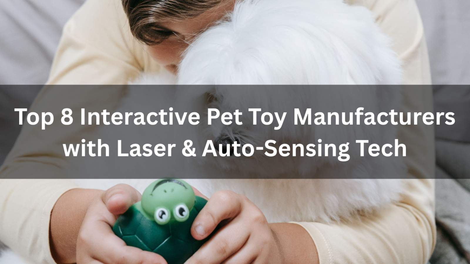 Top 8 Interactive Pet Toy Manufacturers with Laser & Auto-Sensing Tech